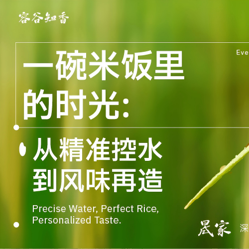 一碗米饭里的时光：从精准控水到风味再造